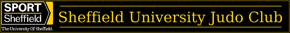 University of Sheffield International Student Teams (USIST)